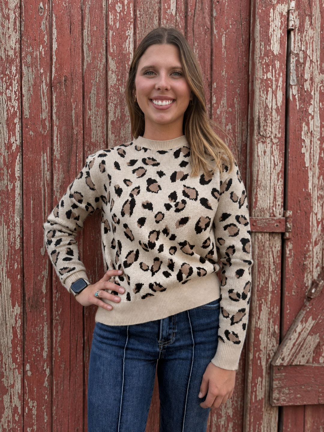 Taupe Leopard Long Sleeve Crew Neck Sweater