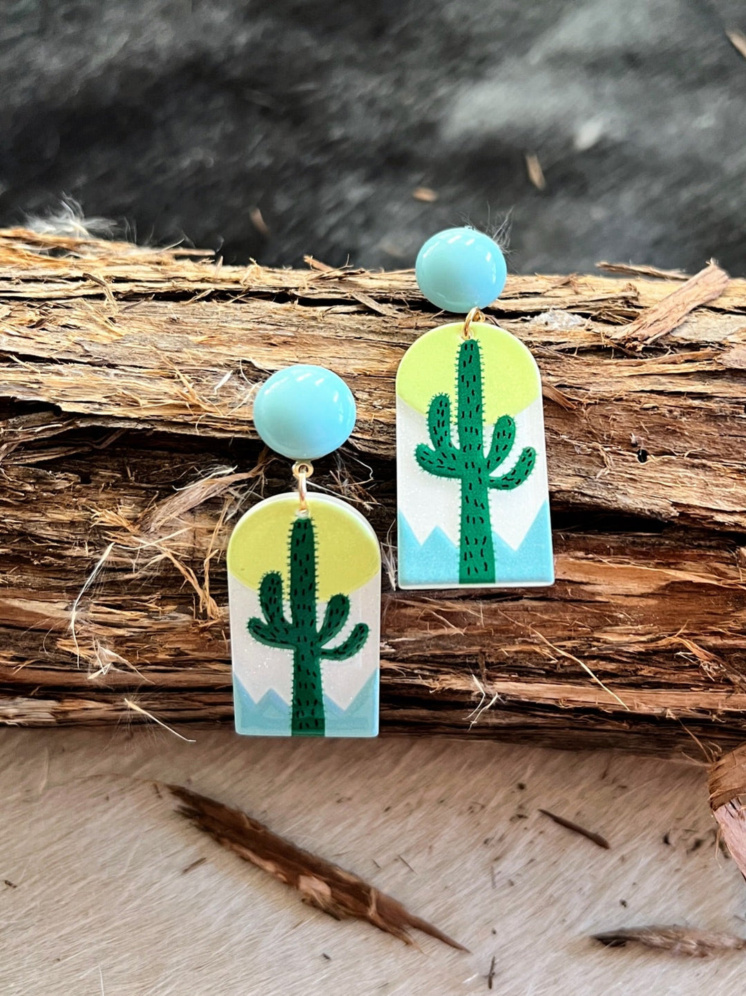 Stuck In the Desert Earrings | gussieduponline