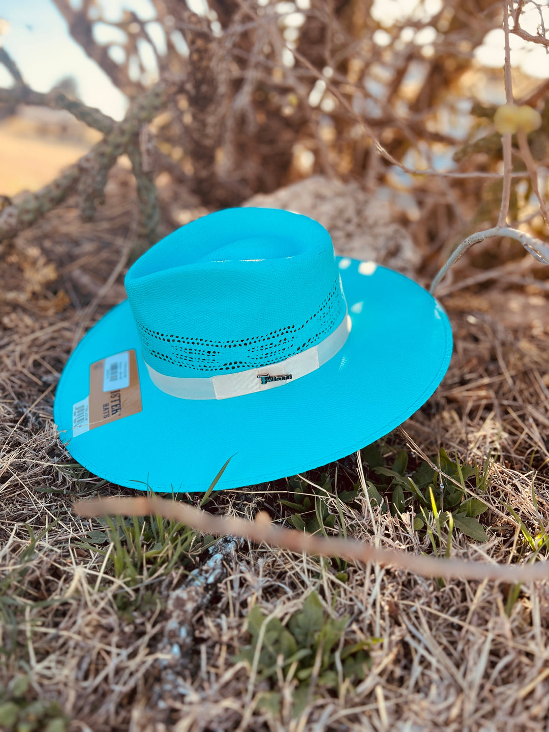 Rolling Around In The Turquoise Straw Hat | gussieduponline