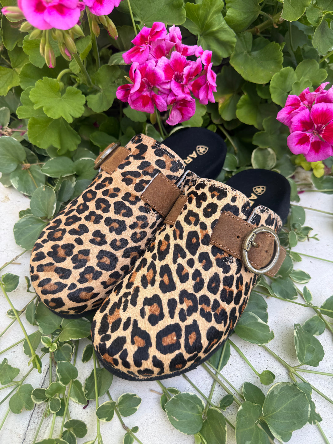 Ariat Leopard Hair On Country Mule